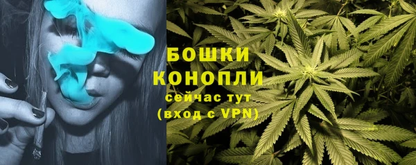 MESCALINE Богородицк